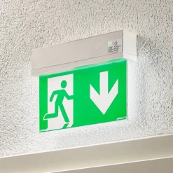 Arcchio LED-nødlys Nevian, oppladbart batteri, plexiglass, 19,8 cm høy