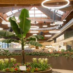 Artemide Alphabet of light sirkulær via app 155 cm