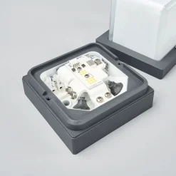 BEGA 22432K3 utendørs LED-vegglampe, grafitt 3000K