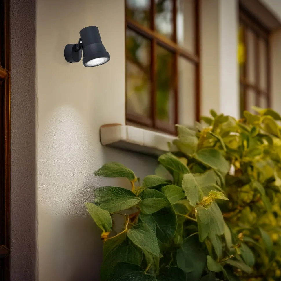 Bega LED-spotlight 84951 K3, av/på, grafitt, støpt aluminium