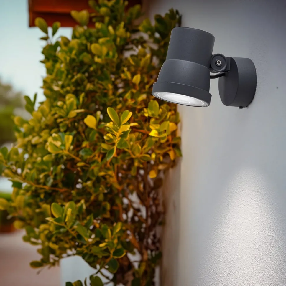 Bega LED-spotlight 84952K3, DALI, grafitt, støpt aluminium