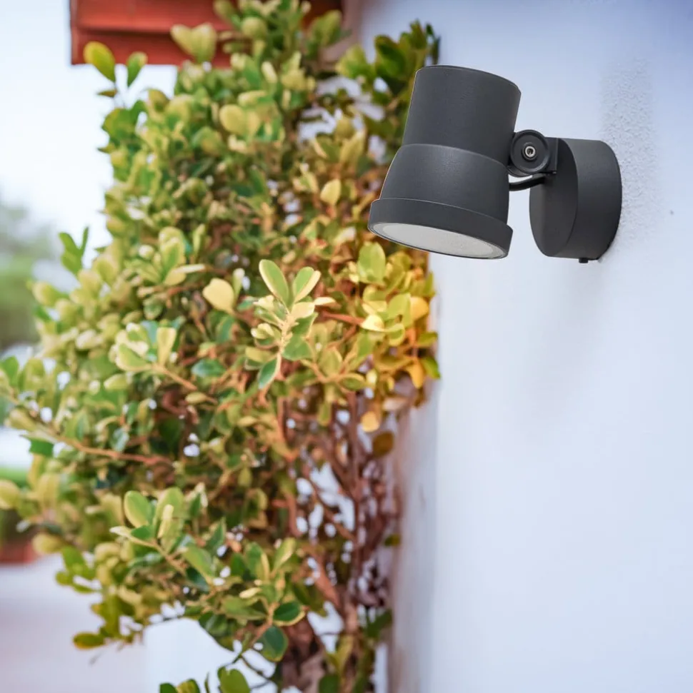 Bega LED-spotlight 84952K3, DALI, grafitt, støpt aluminium