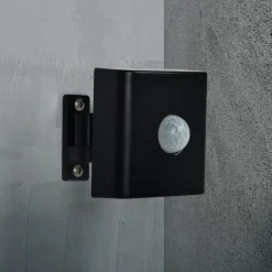 Bevegelses- og skumringssensor Smart, svart