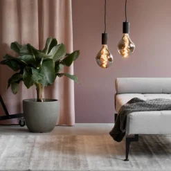 Calex Organic Evo LED-pære E27 6W dimbar titan