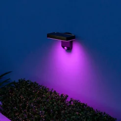 Calex Smart utendørs solcellelampe, sensor, RGBW