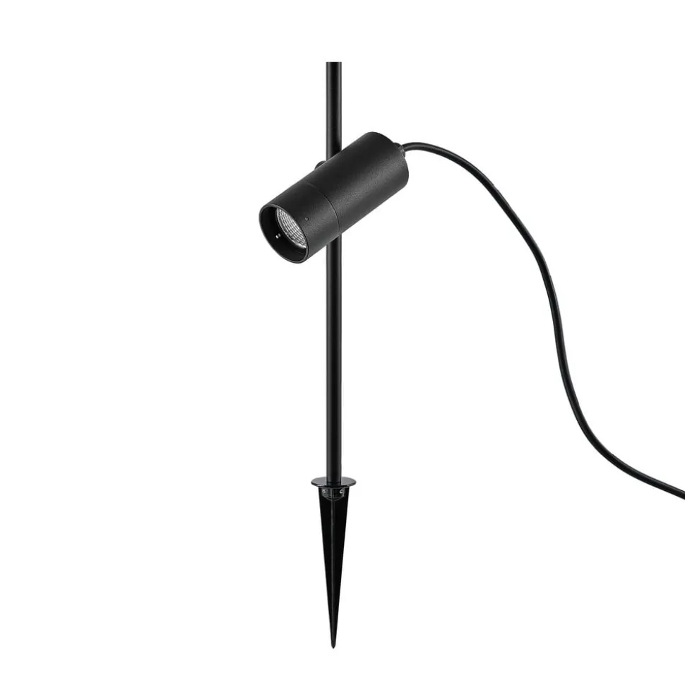 Chopa LED-bakkepigglampe, høydejusterbar lyskaster