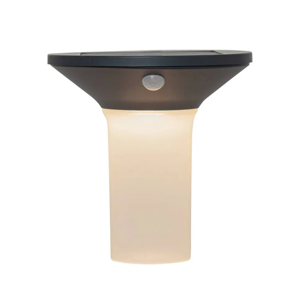 Corbezzola utendørs LED-vegglampe, svart, sensor