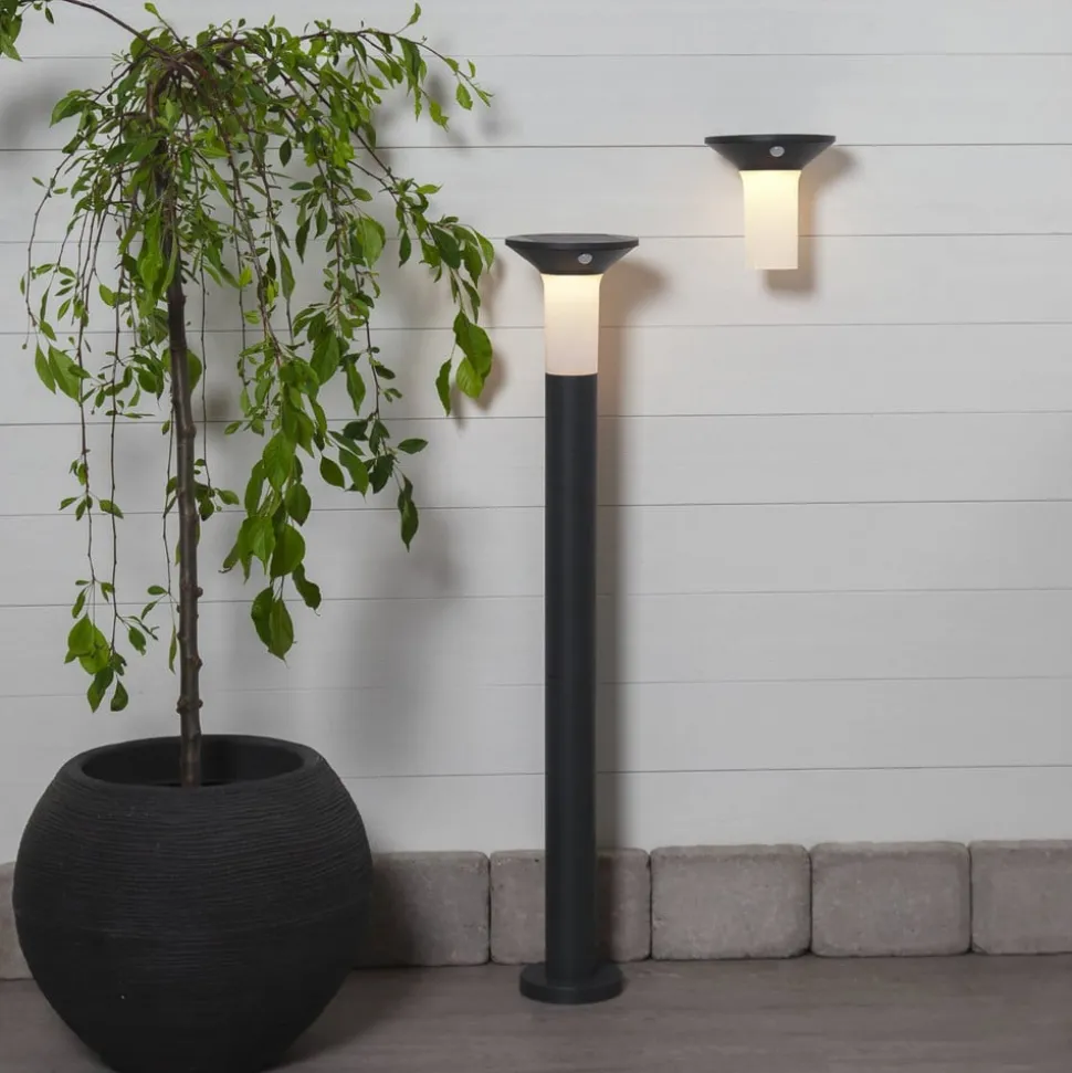 Corbezzola utendørs LED-vegglampe, svart, sensor
