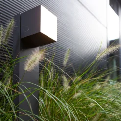 Cuba LED-veilampe, antrasitt med stikkontakt