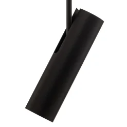 Downlight Eye Super, høyde 76 cm, svart