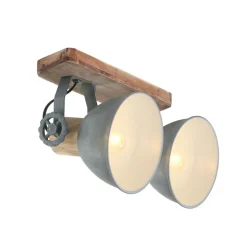 Downlight Gearwood, 2 lyskilder, grå