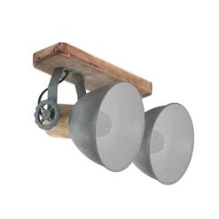 Downlight Gearwood, 2 lyskilder, grå