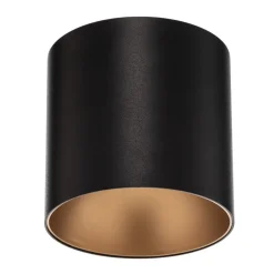 Downlight Point Tone, svart/gull