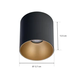 Downlight Point Tone, svart/gull