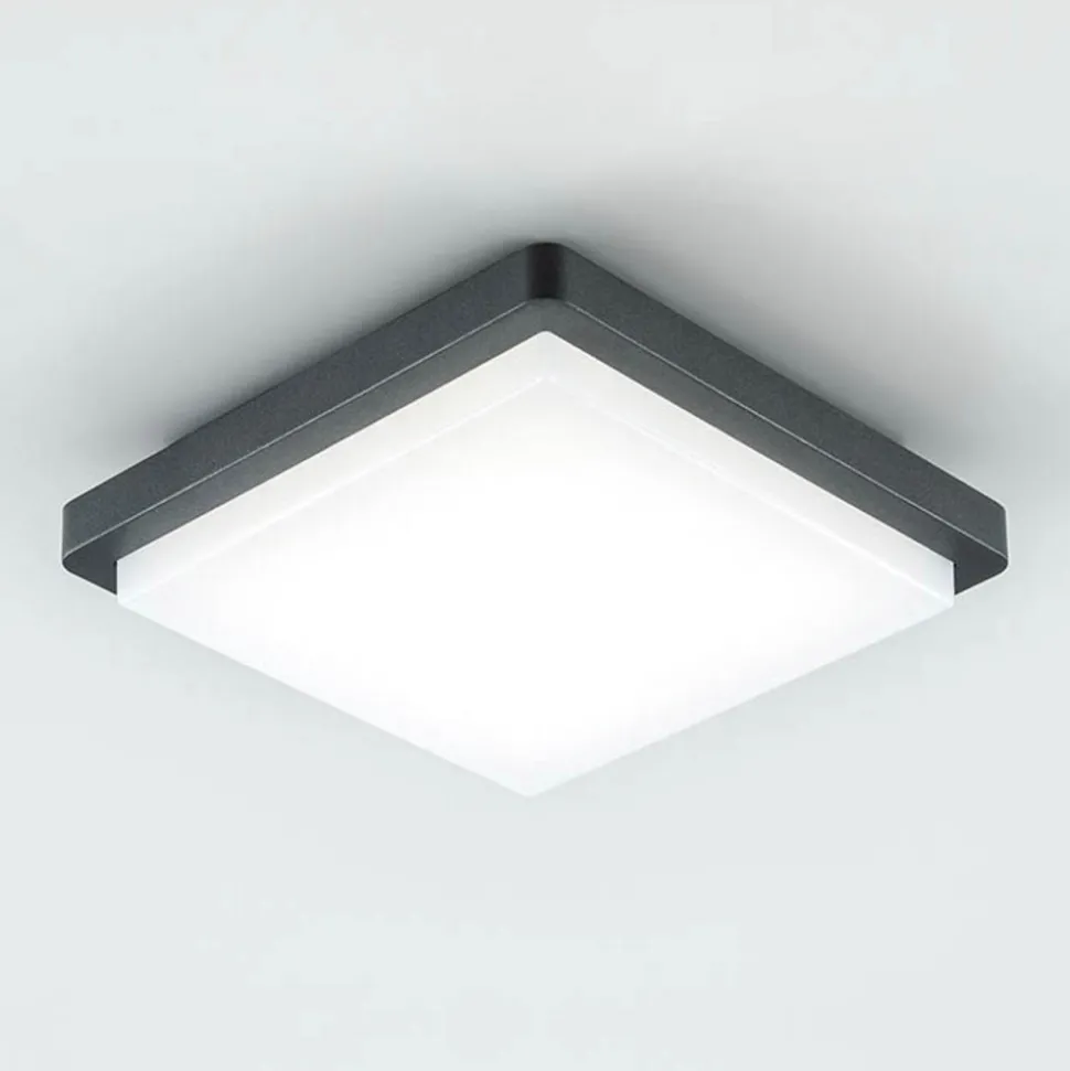 EVN LED utendørs taklampe Tectum, 23x23 cm, antrasitt, 150°, 150