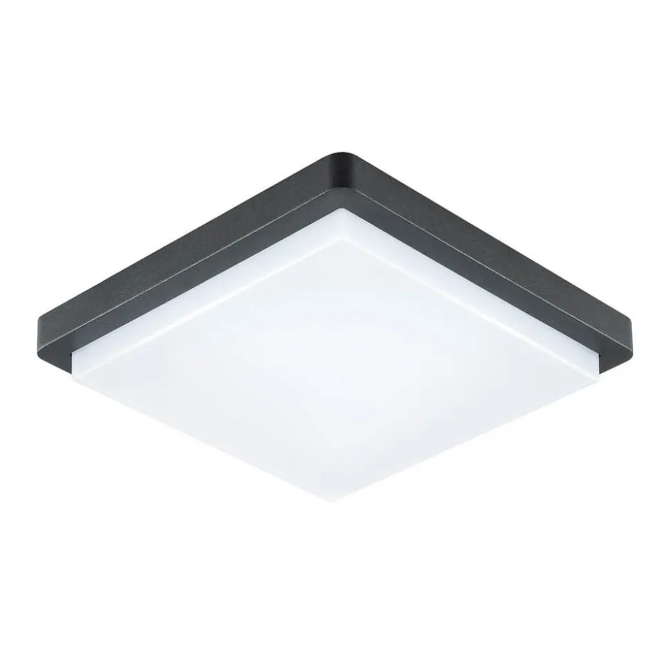 EVN LED utendørs taklampe Tectum, 23x23 cm, antrasitt, 150°, 150