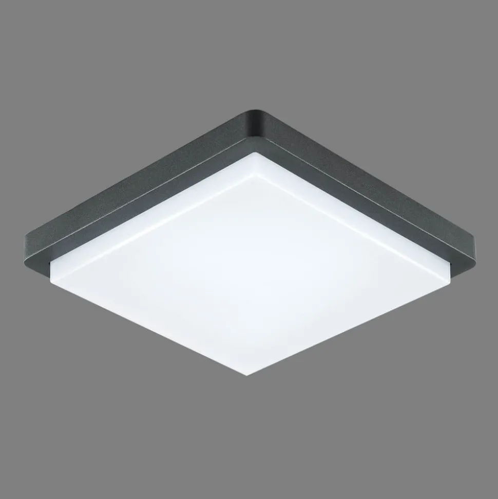 EVN LED utendørs taklampe Tectum, 23x23 cm, antrasitt, 150°, 150