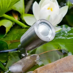 EVN PC6806 LED-hagespot, 12 V, 5 000 K, 2 stk.