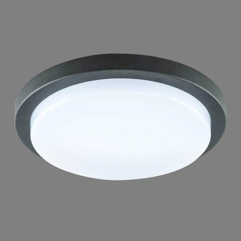 EVN Tectum LED utendørs taklampe, rund, Ø 24,6 cm