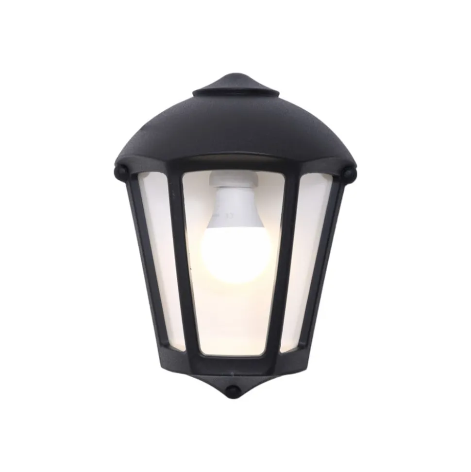 Fabio utendørs vegglampe, svart/klar, kunstharpiks, E27 CCT