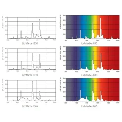 G13 T8 16W 840 Master TL-D Eco