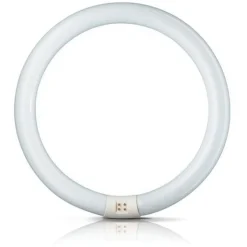 G10q 32W 840 lysstoffring Master Circular TL-E