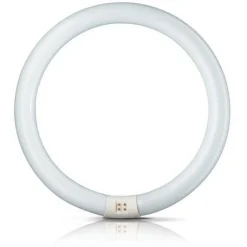 G10q 22W 865 lysstoffring Master Circular TL-E