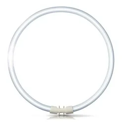 2GX13 60W 840 sirkellysrør Master TL5