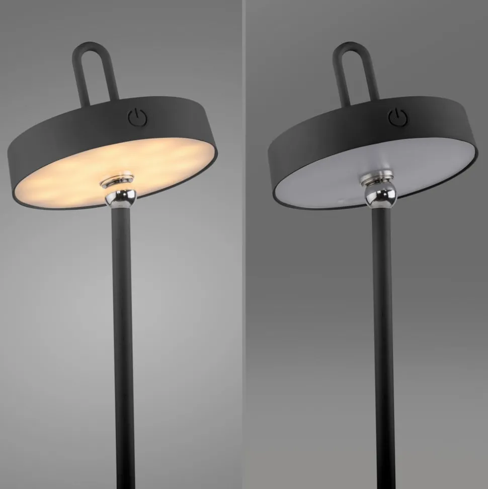 JUST LIGHT. Amag LED-bordlampe, svart, jern, IP44
