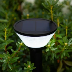 Karlo LED-sokkellampe, RGBW