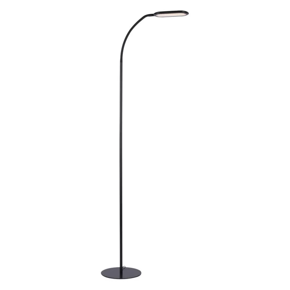 Kelly LED-gulvlampe, CCT dimbar