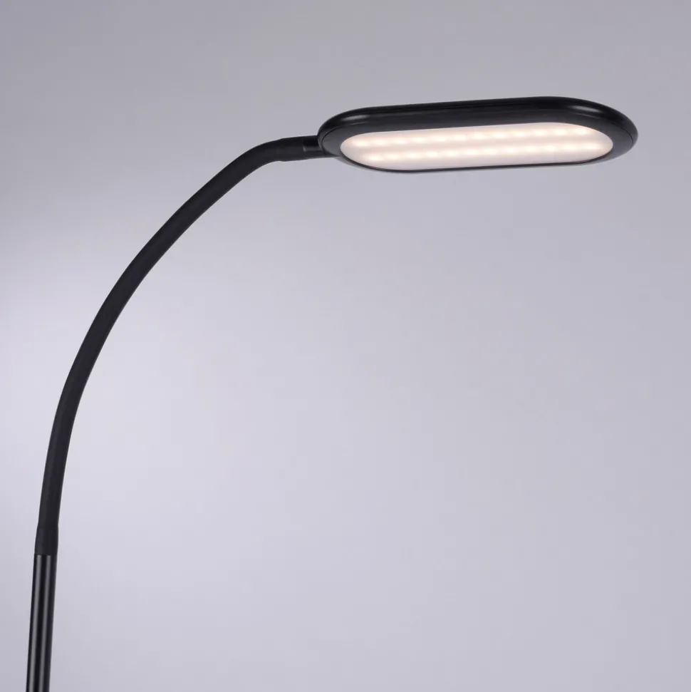 Kelly LED-gulvlampe, CCT dimbar