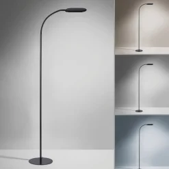 Kelly LED-gulvlampe, CCT dimbar