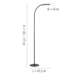 Kelly LED-gulvlampe, CCT dimbar