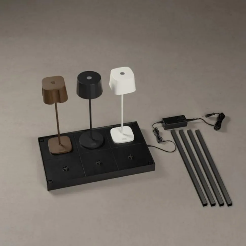 Ladestasjon for dekolykt Nice