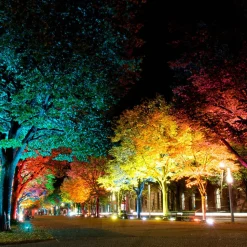 LED utendørs spotlight med fargetone Flores XL, IP44, CCT, RGB