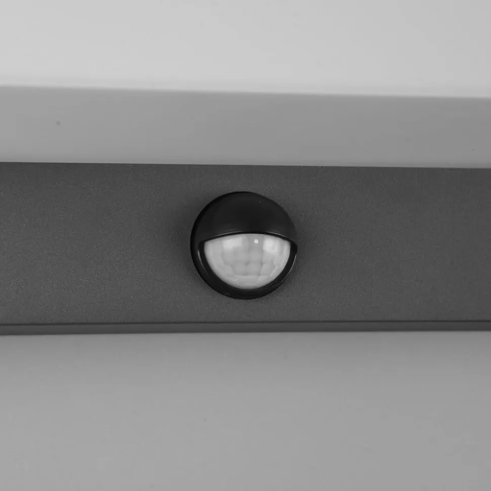 LED utendørs vegglampe Nestos, bevegelsessensor, IP54