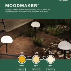 LED-bordlampe Sponge table med 21,5 cm batteri