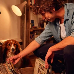 LED-dråpepære E14 2,2 W, varmhvit, 250 lumen