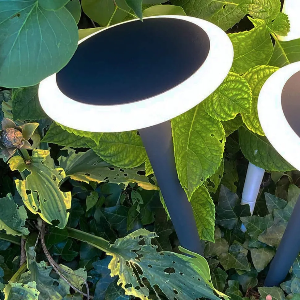 LED-sokkellampe Bermuda med jordspyd svart-grått