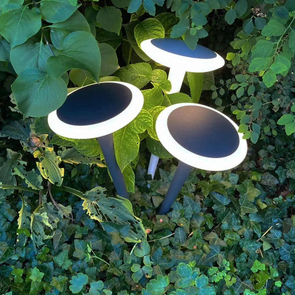 LED-sokkellampe Bermuda med jordspyd svart-grått