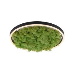LED-taklampe Green Ritus, mose, dimbar Ø39,3 cm