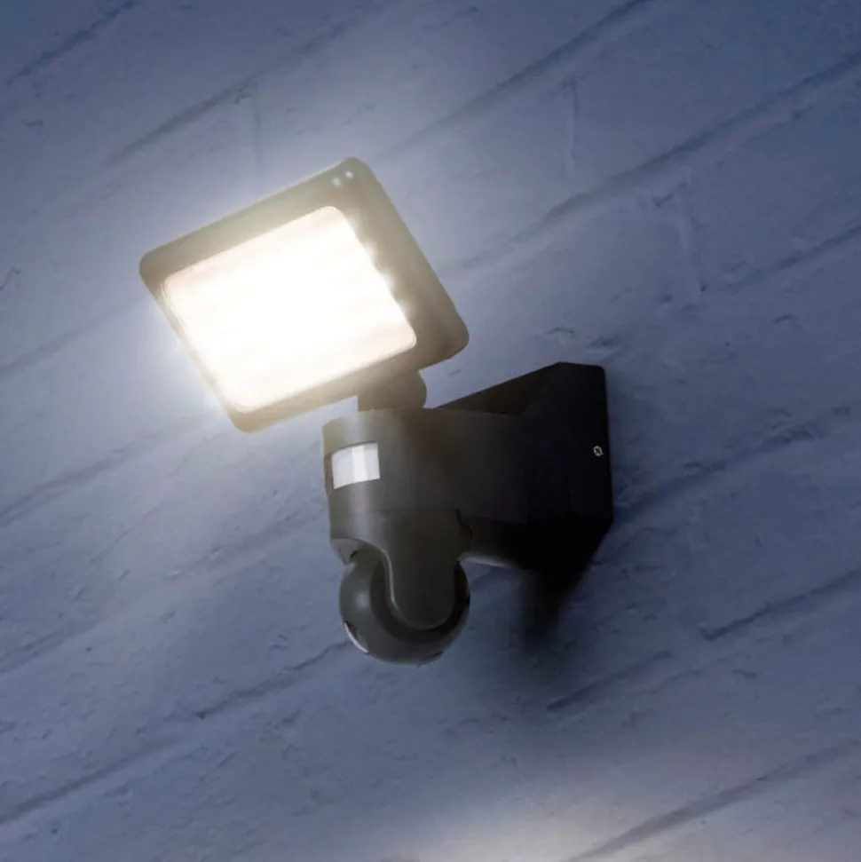 LEDVANCE SMART+ WiFi Outdoor Flood Camera Control