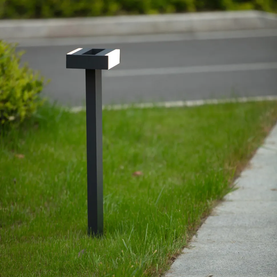 LED-veilampe Conroy med bevegelige spredere