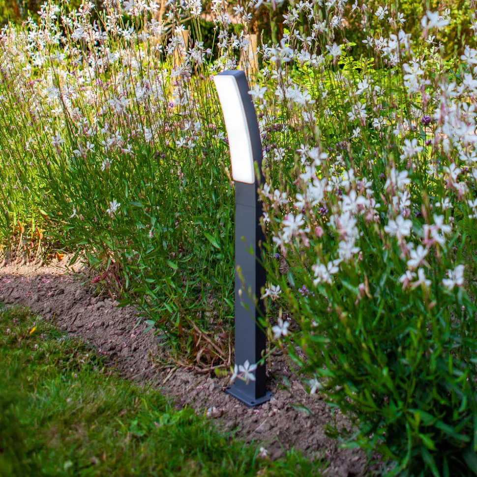 LED-veilampe Kira, IP54