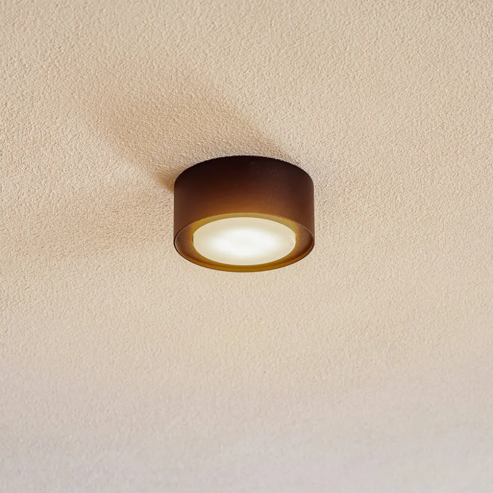 Loppe takspotlight i stål, svart