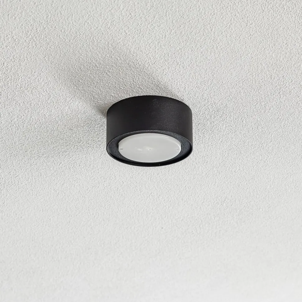 Loppe takspotlight i stål, svart