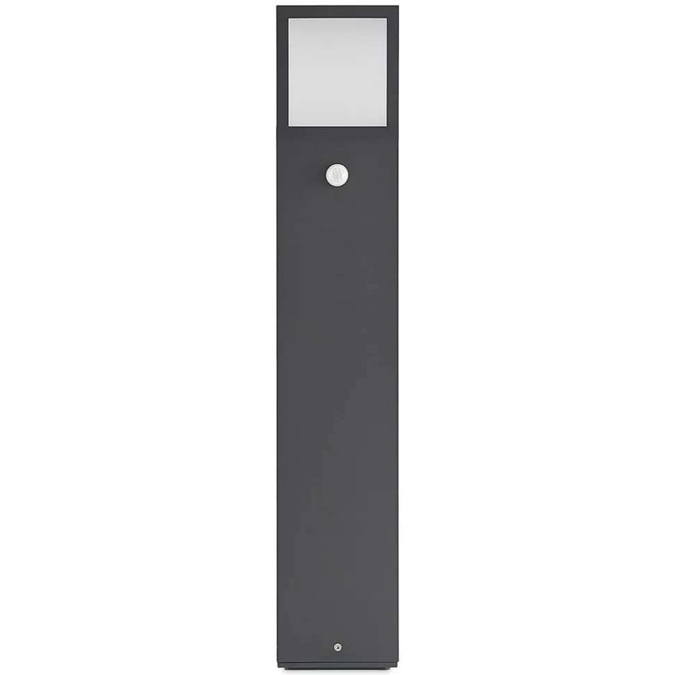 Lucande Dewari veilampe, bevegelsessensor, E27, 65 cm, IP54