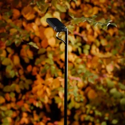 Luceplan LED-veilampe Flia, 180 cm høy, svart, plast