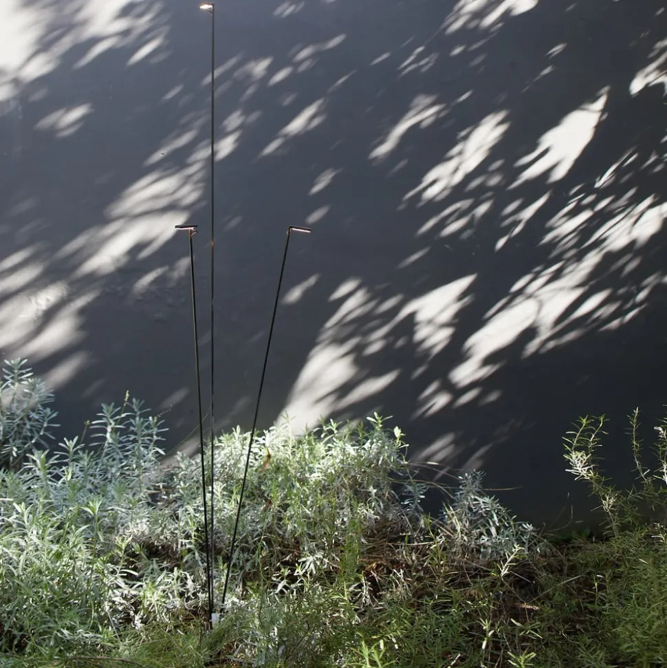 Luceplan LED-veilampe Flia, 3 lyskilder, svart, plast